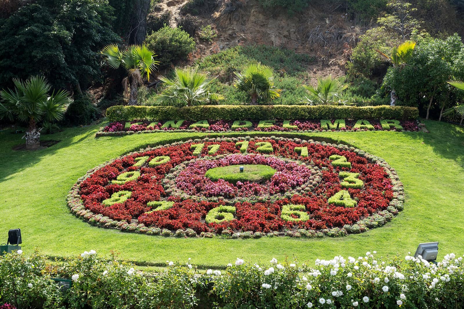 Die Blumenuhr Reloj de Flores an einem Rasenhang in Viña del Mar